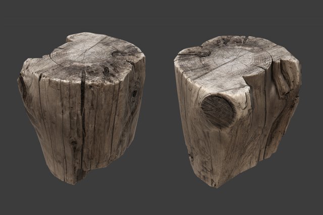 stump Model 3D .c4d .max .obj .3ds .fbx .stl .blend 