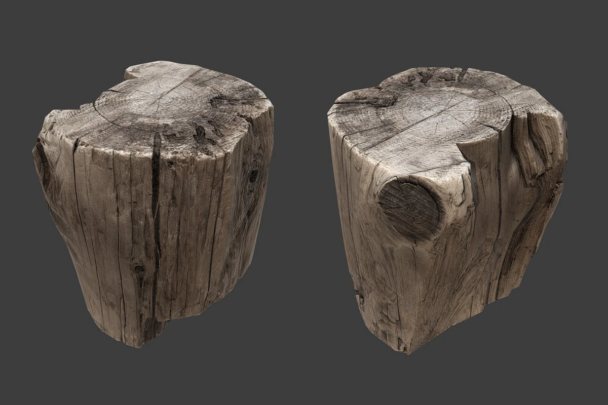 stump 3D Model .c4d .max .obj .3ds .fbx .stl .blend 