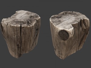 stump 3Dモデル