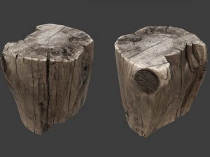 toc&oacute;n Modelo 3D