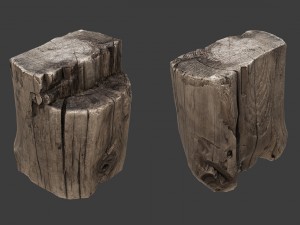 stump Model 3D