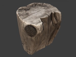 stump Model 3D