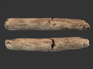 broken stick 3D Model