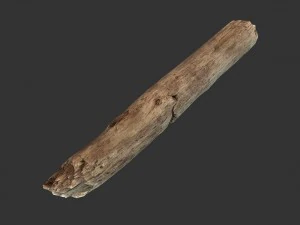 broken stick 3D Model
