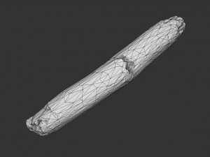 broken stick 3D Model