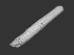 broken stick 3D Model