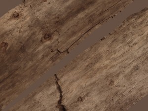 broken stick 3D Model