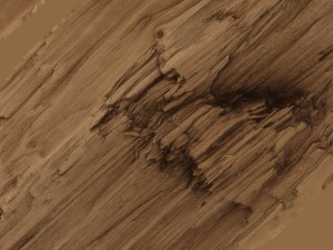 wooden plank debris 3D Модель