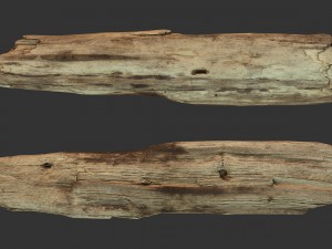 broken wood plank 3D Model