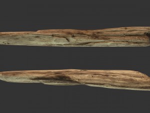 broken wood plank 3D Model