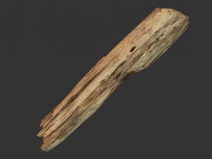 broken wood plank 3D Model