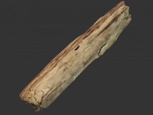 broken wood plank 3D Model