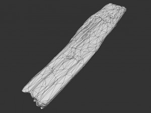 broken wood plank 3D Model