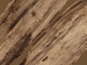 broken wood plank 3D Model