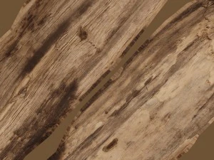 broken wood plank 3D Model