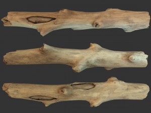 stick piece 3Dモデル