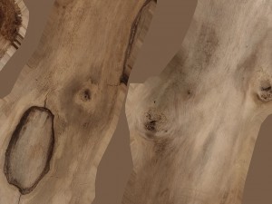 stick piece 3D Model