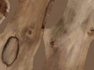 stick piece 3D Model