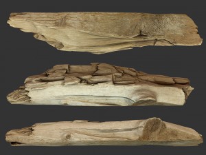 broken plank 3Dモデル