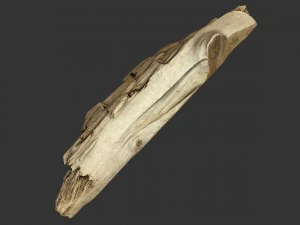 broken plank 3D Model