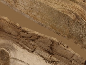 broken plank 3D Model