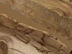 broken plank 3D Model