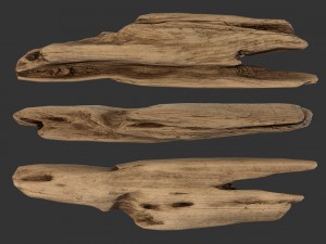 plank fragment 3D Model