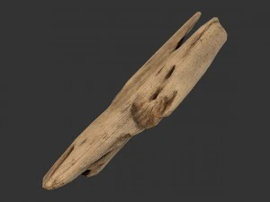 plank fragment 3D Model