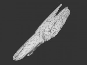 plank fragment 3D-Modell
