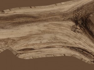 plank fragment 3D-Modell