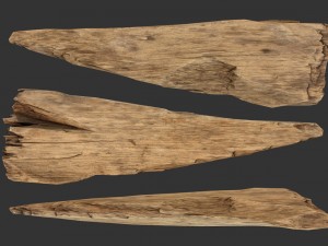 broken plank 3Dモデル
