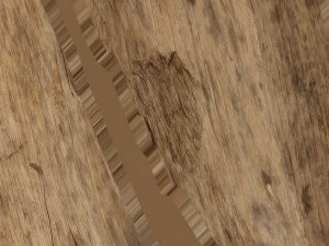broken plank 3D Model