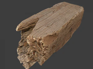 wood timber debris 3D Model