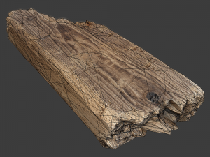 wood plank debris 3D Model