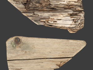 wood timber rotten debris 3Dモデル