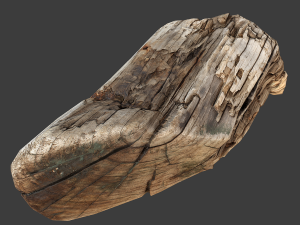 wood timber rotten debris Model 3D