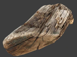 wood timber rotten debris 3D Model