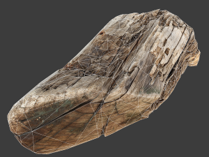wood timber rotten debris Model 3D