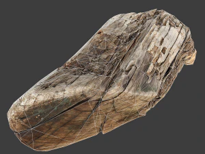 wood timber rotten debris 3D Model