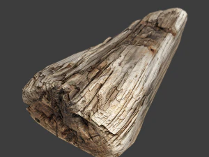 wood timber rotten debris 3D Model