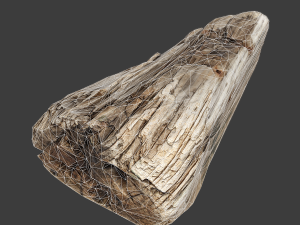 wood timber rotten debris Model 3D