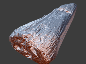 wood timber rotten debris Model 3D