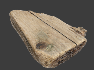 wood timber rotten debris Model 3D