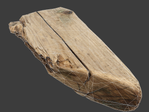 wood timber rotten debris Model 3D