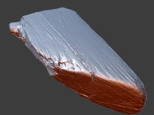 wood timber rotten debris Model 3D
