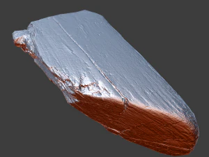 wood timber rotten debris 3D Model