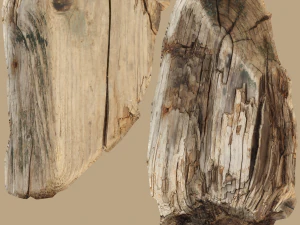 wood timber rotten debris 3D Model