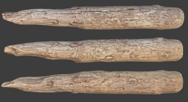 wood log 3D Model .c4d .max .obj .3ds .fbx .stl .blend 
