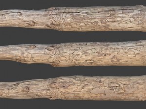wood log 3Dモデル