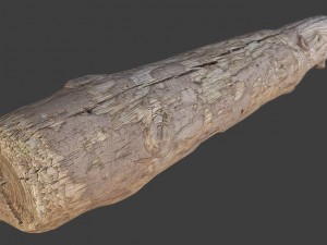 wood log 3D Model